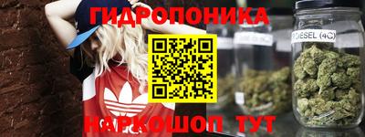 стафф Свободный